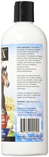 Banixx Medicated Shampoo - Image 2