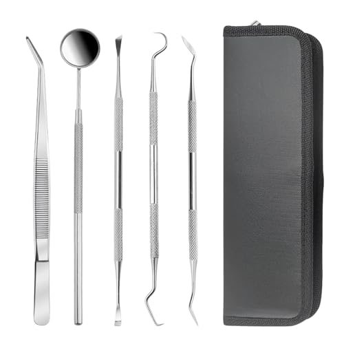 Image of Professional Oral Care Kit Advanced Clean- Portable Dental Tools,Stainless Steel Dental Hygiene Kit with Dental Picks for Men Women Kids and Pet Care(5pack)- with Case