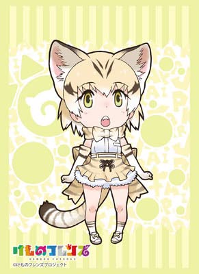 Amazon | ブシロードスリーブコレクション ハイグレード Vol