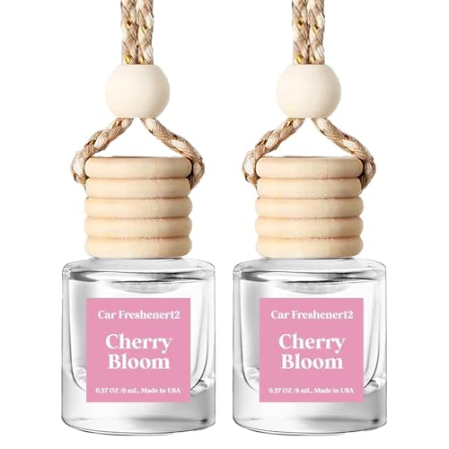Image of Car Air Freshener Hanging 2 Pack, Air Freshener Diffuser for Cars, Air Fresheners Diffuser oil For Car,Car Air Freshener For Women