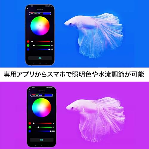 Amazon.co.jp: 多機能水槽FiSH-αシリーズ
