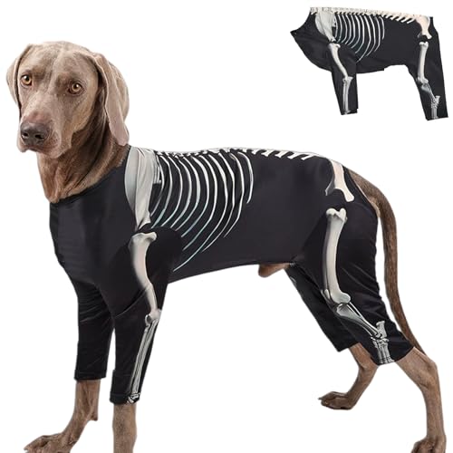 Skeleton Dog Costume for Large Dogs, Halloween-Hundekostüm, Lustiges Hunde Skelett Kostüm für Kleine & Große Hunde, 4-Beiniges Haustier Cosplay Outfit (2XL)