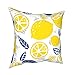 Lemon Limonka miętowa chłodząca lemoniada poszewki na poduszki dekoracyjna poszewka na poduszkę 45 x 45 cm bawełniana poszewka na poduszkę letnia dekoracja domu do wewnątrz na zewnątrz sofa salon