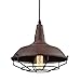 Dazhuan Industrial Nautical Barn Metal Wire Caged Pendant Light Fixture Ceiling Pendant Lamp, Iron Cage Shade in Rust Finish