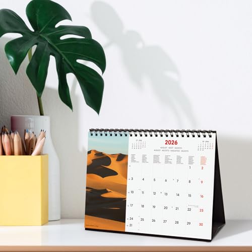 Finocam - Tischkalender 2026 Monatsansicht Januar–Dezember 2026 + Sept.–Dez. 2025 (4 Monate) reduziert | Kalender 2026 | Bilder Nature - International