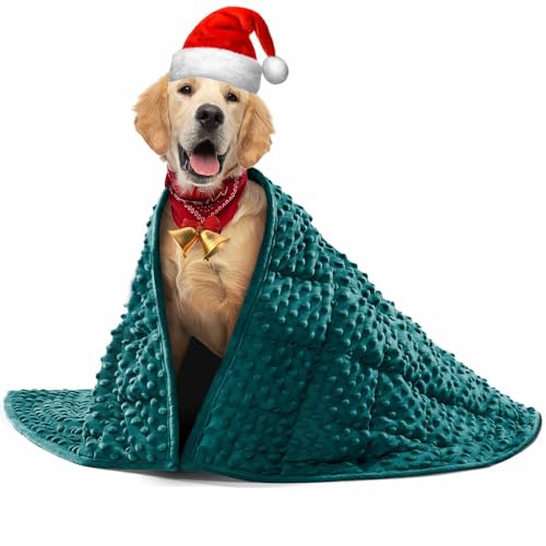 How to train your service dog deep pressure therapy