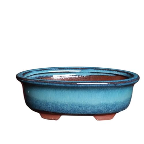 Wensmy 2pcs Glaze Bonsai Pots Ceramic Modern Glaze Succulent