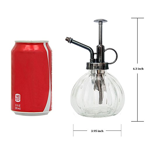Ebristar Plant Mister, Glass Watering Spray Bottle With Bronze Top Pump 6.5" Tall Decorative Mister For Plants And Flowers Small Watering Can For Indoor Potted Plants & Terrariums - Clear #TOP1