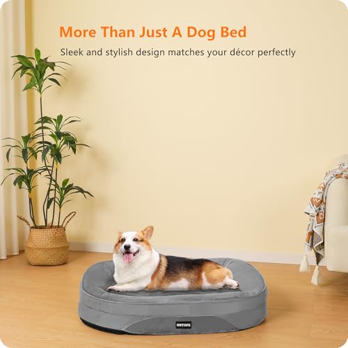 HMTOPE Orthopädisches Hundebett, Hundesofa, Vierseitiges Nackenrolle Kissen, rutschfeste Unterseite Hundekorb, Abnehmbar und Waschbar, Kleine Hunde, Mittelgroße Hunde, 90 x 71 x 15 cm, Mittelgrau