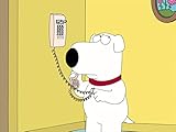 Da liegt der Hund begraben
