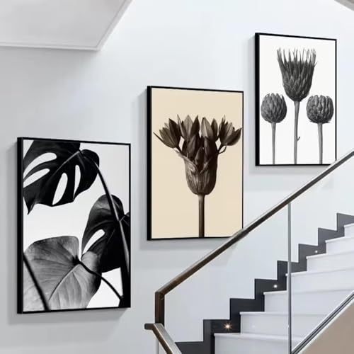 Affiches de plantes poétiques noir et blanc pour une atmosphère zen