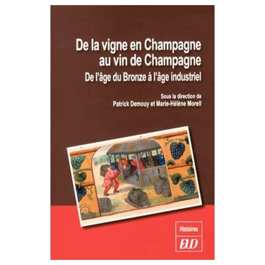 De la vigne en Champagne au vin de Champagne : De l'âge du Bronze à l'âge industriel