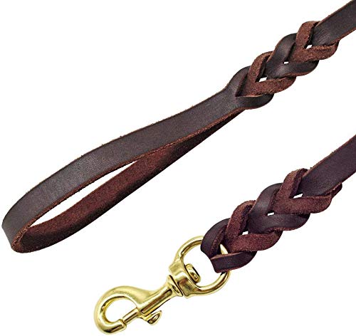 Berry Pet Leather Dog Leash - Training & Walking Braided Dog Leash - 5 ft by 1/2 in (160cm 1.2cm) - Latigo Leather Brown
