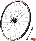 Mozzo: 2 cuscinetti sigillati anteriori, 2 posteriori. Freno a disco a 6 bulloni, sgancio rapido anteriore 100 mm, posteriore 135 mm. Compatibile con cassette e ruota libera a 7/8/9/10/11 velocità.