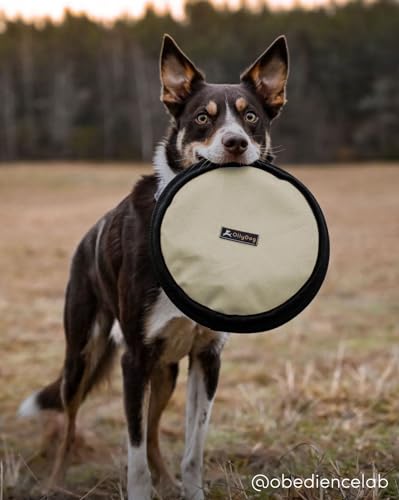 OllyDog Flyer Disc, Dog Frisbee, Lightweight and Floating, Dog Toys Interactive, Dog Stuff, Gentle on Teeth and Gums (Bloom) OllyDog Flyer Disc, Dog Frisbee, Lightweight and Floating, Dog Toys Interactive, Dog Stuff, Gentle on Teeth and Gums (Bloom)