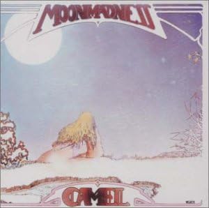 Camel Moonmadness