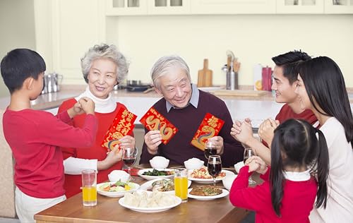 ELLZK Envelopes vermelhos chineses envelopes de dinheiro da sorte 2025 ano novo chinês envelope de c
