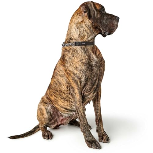 HUNTER Halsung mit Kette Aalborg