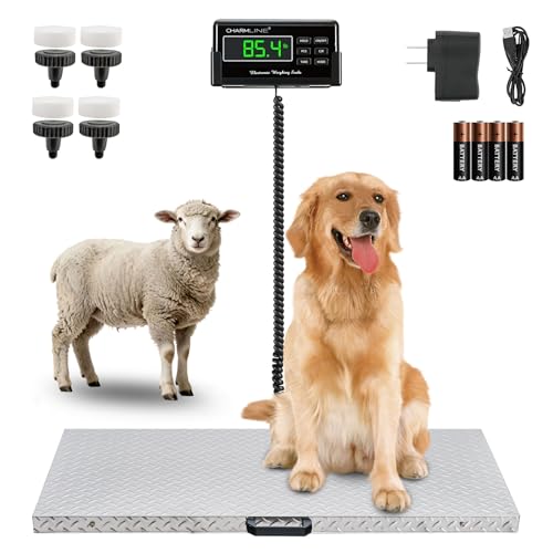 Image of Charmline 1100lbs x 0.2lbs High Accuracy Digital Postal Scale with 41x21 in Large Stainless Steel Platform, Heavy Duty Scale for Dog, Pig, Goat Sheep, Battery & AC Adapter Powered, Slip-Resistant