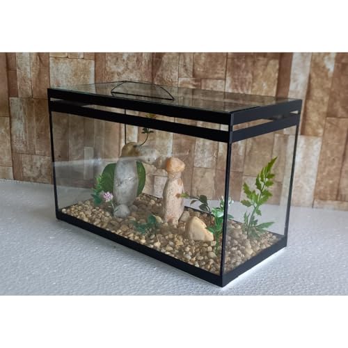 Aquário Beteira Retangular Decorada 8 Litros (até a borda) Peixe Betta ornamentação exclusiva