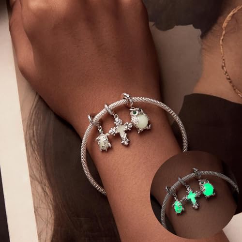 925 Sterling Silver Rainbow Owl Turtle Seashell Firefly Cat Animal Beach Charms Bead Dangle Charm for Charm Bracelet Birthday Jewelry Gift for Women3