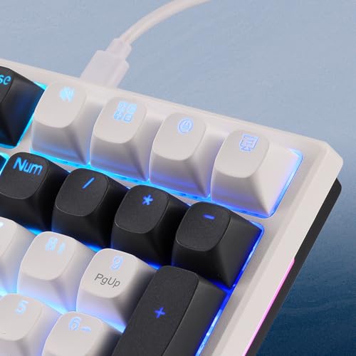 Image of Redragon K668 Wired Gasket RGB Gaming Keyboard, 108 Keys Mechanical Keyboard w /Extra 4 Hotkeys, Upgraded Hot-swappable Socket, Sound Absorbing Foam, Mixed Color Keycaps, Custom Linear Switch