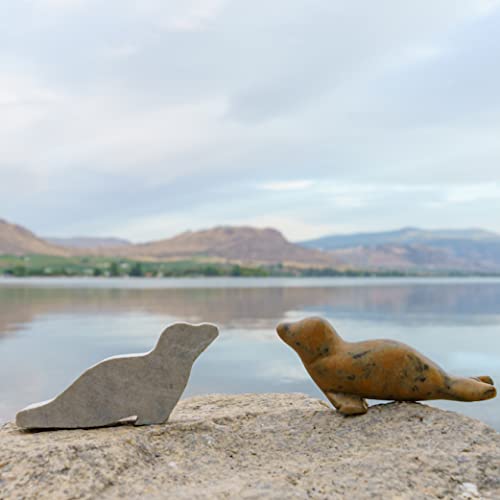 Studiostone Creative Seal Soapstone Sculpture Stone Carving Diy Arts Crafts Kit Kids Adults #TOP4