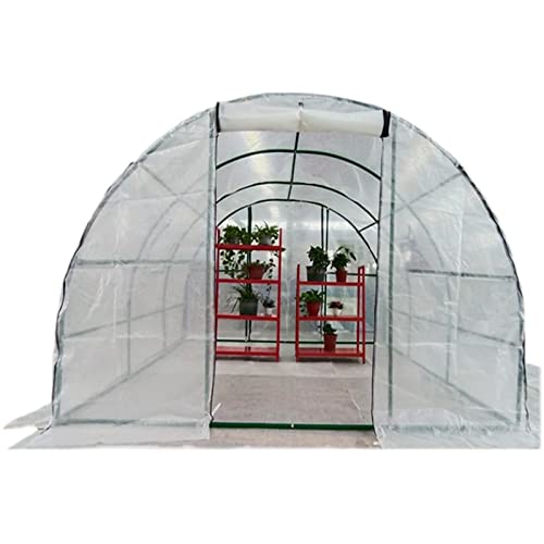 Invernaderos caseta Jardin Túnel Grande Exterior Invernadero Polytunnel con marco de acero resistente, Jardín Tomate vegetal Invernadero de cultivo, 2m / 3m / 4m / 5m / 6m de largo Invierno Túnel de i