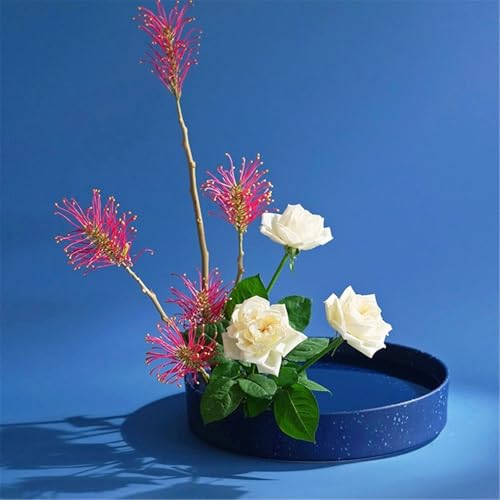 Soucoupe à fleurs ronde en céramique moderne pour table