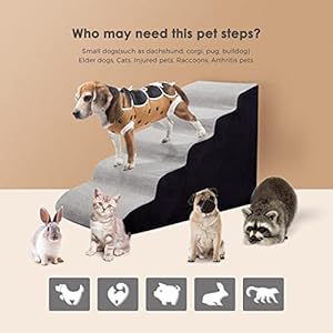   24-Inches-Dog-Stairs-5-Steps-Dog-Stairs-for-High-Beds-24-28-High-Pet-Steps-for-Small-DogsCats-Older-Injured-Pets-with-Joint-Pain-Non-Slip-30D-High-Density-Foam-Dog-Ramp