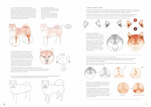 Leçons d'aquarelle japonaise - L'art de peindre les animaux – vue 9