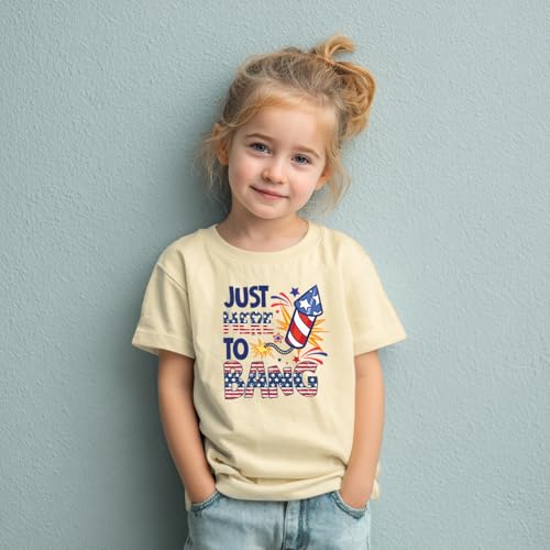 Image of Boys Constitution Day 250 Anniversary USA Shirt Independence Shirt 3-8T | for Kids Boys Girls Toddlers 3T-8T, 4th of July Dinos Flag Patriotic Tee, Independence Day