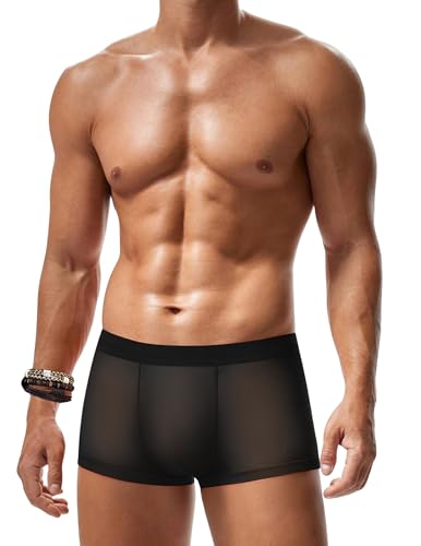 Avidlove Mens Underwear Trunk Breathable Mesh Boxer Briefs Sexy Lingerie Boxer Shorts for Men Black L