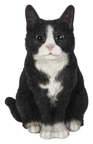 Vivid Arts Chats assis (Chat Noir/Blanc)