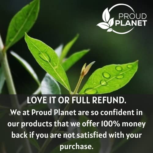 Organic Henna Powder For Hair Dye | Lawsonia Inermis | Mehndi Powder | Natural & Raw | USDA Certified by Proud Planet (16oz | 1 Pound)