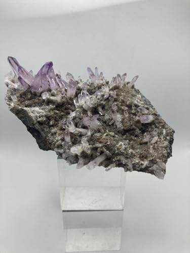 xNXAWXg ^NX^[  VR p[Xg[