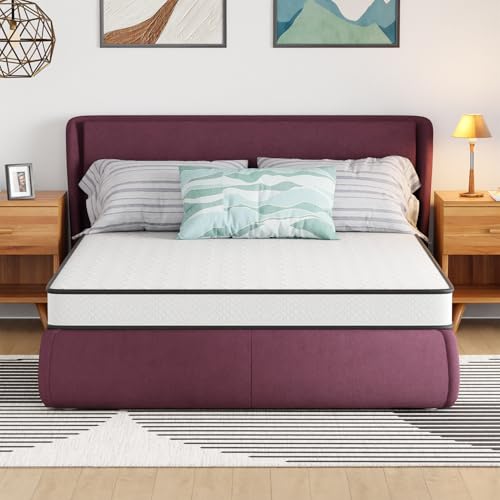FDW 6 Inch Queen Mattress,Hybrid Mattress Memory Foam & Innerspring, Premium Foam Mattress,Pressure Relief,CertiPUR-US Certified,Medium Firm,White