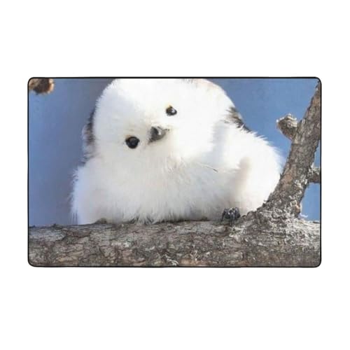 �V�}�G�i�K ���� �k�C�� ��̗d�� 2 �J�[�y�b�g �����` ���O�}�b�g ���O �O�~ �l�C �ėp �h�_�j �R�� �h�� �h�L �ӂ���Ǝ�G�� ������� �D�����t�����l�����O ���g�[�Ή� �􂦂� ����~�ߕt �A�j�� �O�b�Y �L�����N�^�[ �v���[���g 100 × 