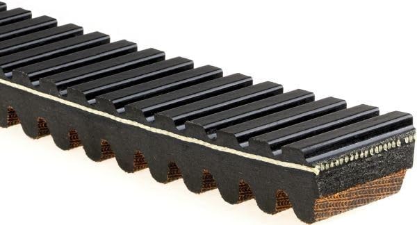 GATES 40G3691 Correa de transmisión CVT negro