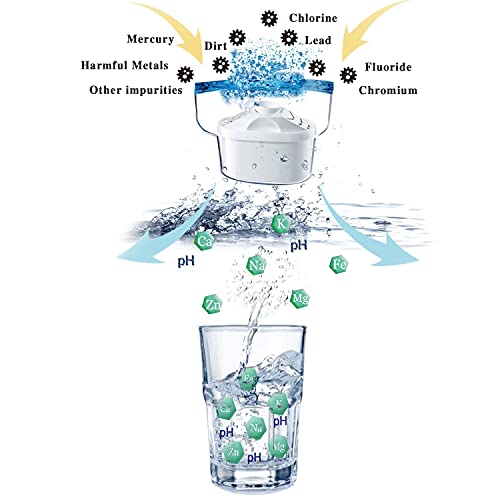 Filtered Alkaline Water