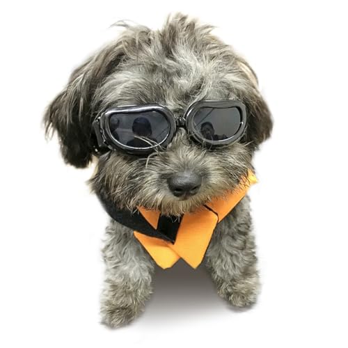 Best Dog Goggles: Protecting Your Pup's Eyes! 9 Enjoying Dog Goggles Small Breed, Dog Sunglasses UV Protection, Cycling Eye Protection for Small Dogs, Breathable Windproof Dustproof Anti-Fog, Adjustable Straps, Classic Black