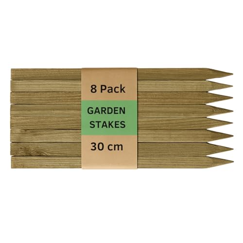Lote de 8 postes de madera de 300 mm tratados para estacas de jardín
