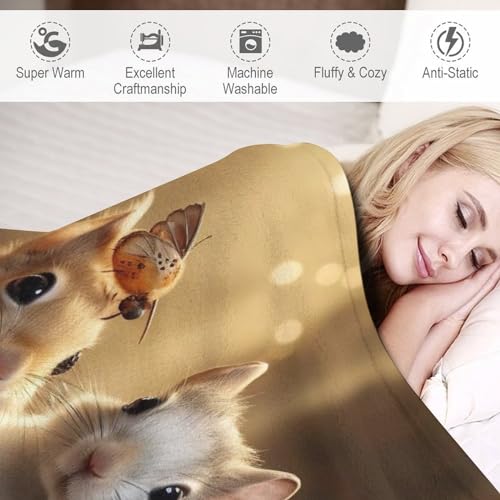 Couverture polaire écureuil pour cocooning sur canapé et décoration intérieure - 4
