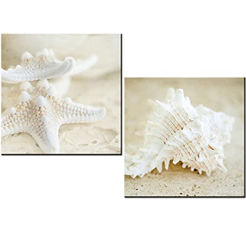 Set de 2 cuadros decorativos para baño “Concha blanca” 24×24 cm – estilo marino – MDF impermeable antihumedad – instalación sin taladro con adhesivo industrial – Lippi Decor
