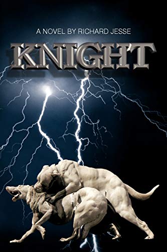 Knight view 2