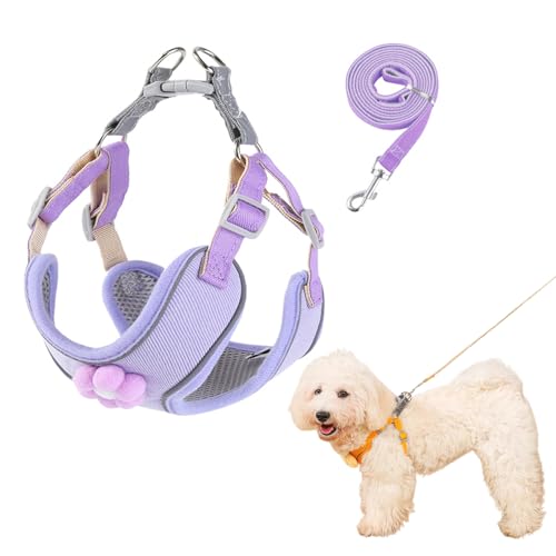 犬の散歩牽引ロープ新型猫の胸の背中式牽引ロープ付き体輪反射ベスト首輪バンド首を絞らない散歩セット振り切れ防止キャラクターペット牽引ロープサイズ調節小型犬牽引ロープ外出犬の散歩ロープ軽量落下しない馬の甲の柔らかい胸当てストレッチ防止温和な抱擁体輪 (紫の花,