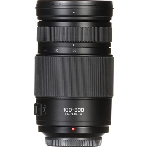 Amazon.com : Panasonic Lumix G Vario 100-300mm f/4.5-5.6 Lens (H