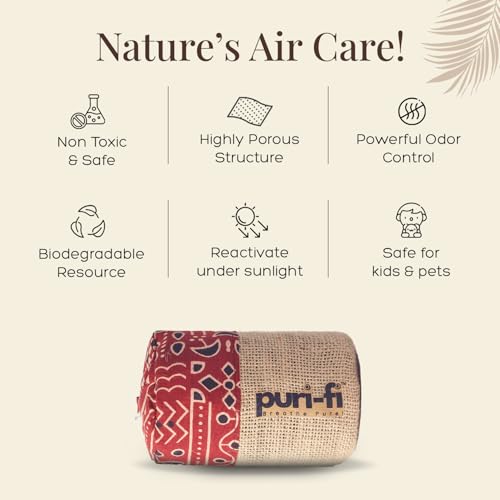 Image of Activated Charcoal Air Purifier, Non-Electric, Coconut Shell Charcoal, Odor & Moisture Absorber, Air Freshener for Home, Car, Reusable & Long-Lasting, 250 Gm (Rustic Red)