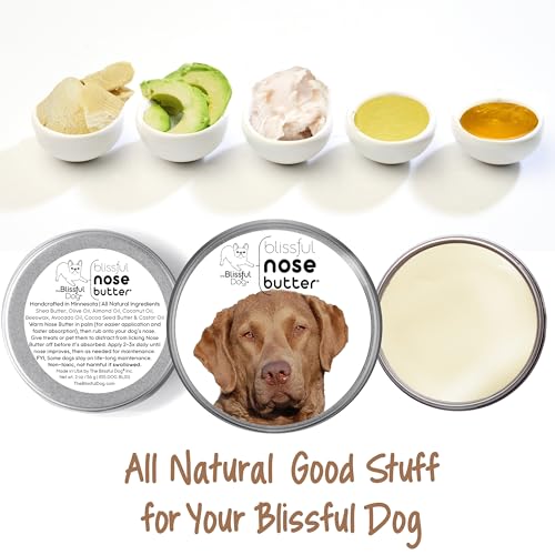 Image of The Blissful Dog Chesapeake Bay Retriever Unscented Nose Butter, 2-Ounce