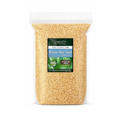 White Oat Seed by Eretz - Choose Size! Oregon Grown Oat Grains- No Fillers No Coatings No Weed Seeds (3lb)